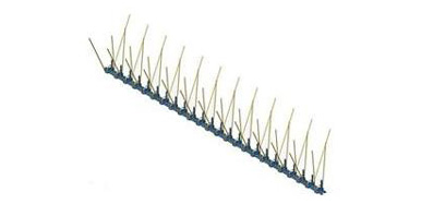 apw8iseis ptinwn 2