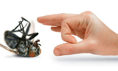 pest control cts 1